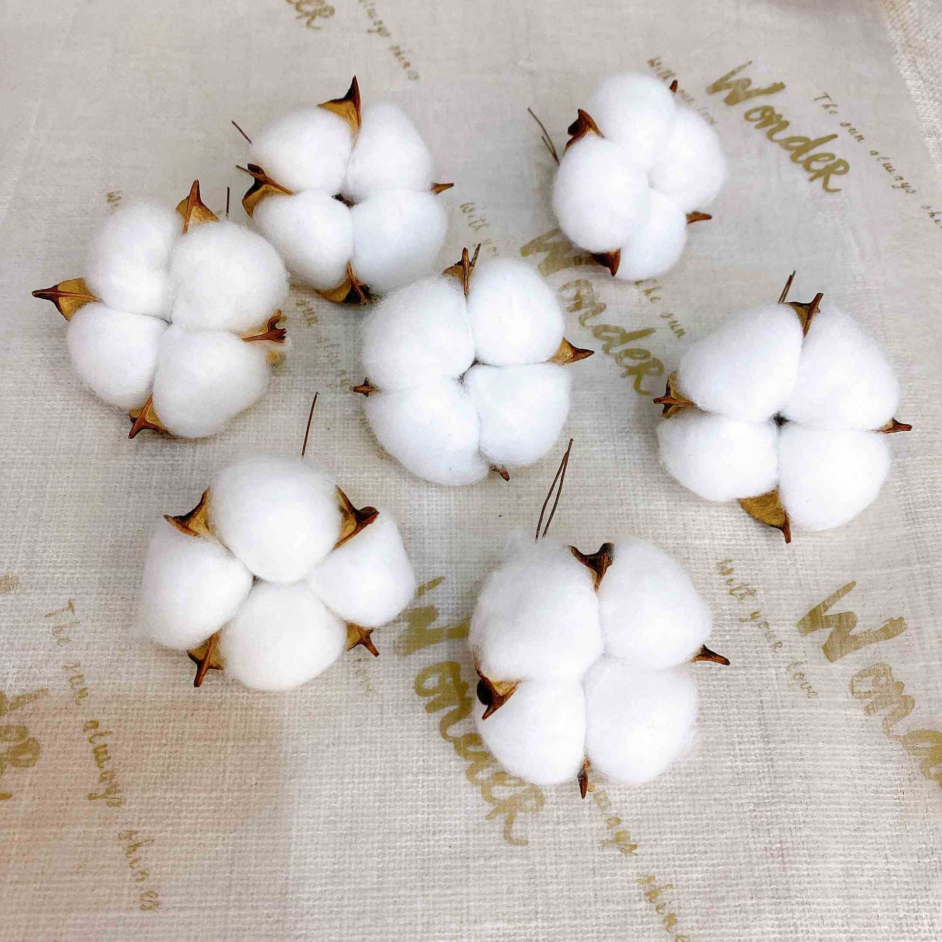 Simulación de flores secas de algodón buquete de flores inmortales de Navidad decoración de flores falsas de algodón props de disparo