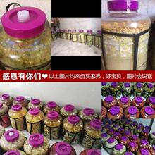 ?lݾƿԄŚƿoUᄾѾƿl͹޽