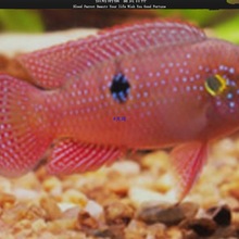 �t��ʯ�~Ѫ��~�Ꭷ�~�������������R�����~�~�^�p�~���]����