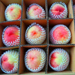 新鲜水蜜桃毛桃摘新鲜水果桃子孕妇时令大果非黄桃