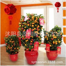 �ļ��۽�����Ә�������Ԏ����l؛��ʳ���҃��̨�Gֲ����������