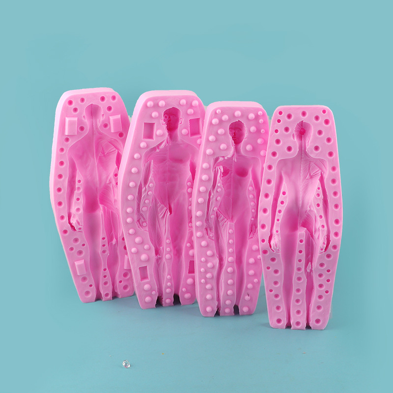 Fondant muñeca pastel molde médico humano músculo y hueso anatomía modelo hornear decoración de yeso herramienta abrasiva
