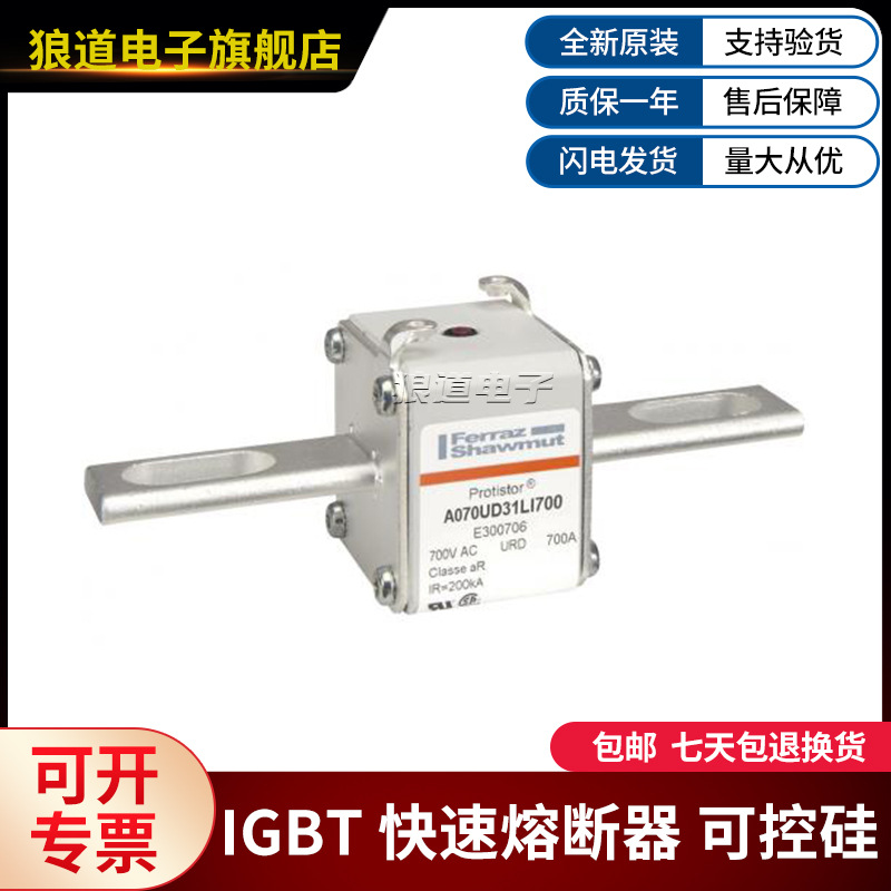 A070UD31LI700-E300706 A070UD31LI800-F300707罗兰快速熔断器