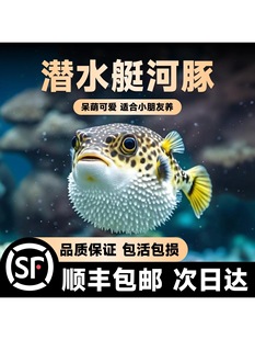 �G�����~��ˮͧ�~С�͵�ˮ�Ꭷ�^�p������w���^�~���B�ɿ�������