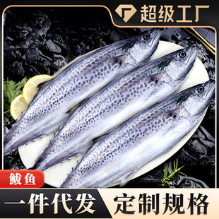 ���E�~�r���T�E�~�R�o�~�����l����໨�~�R���~���l����һ�����l