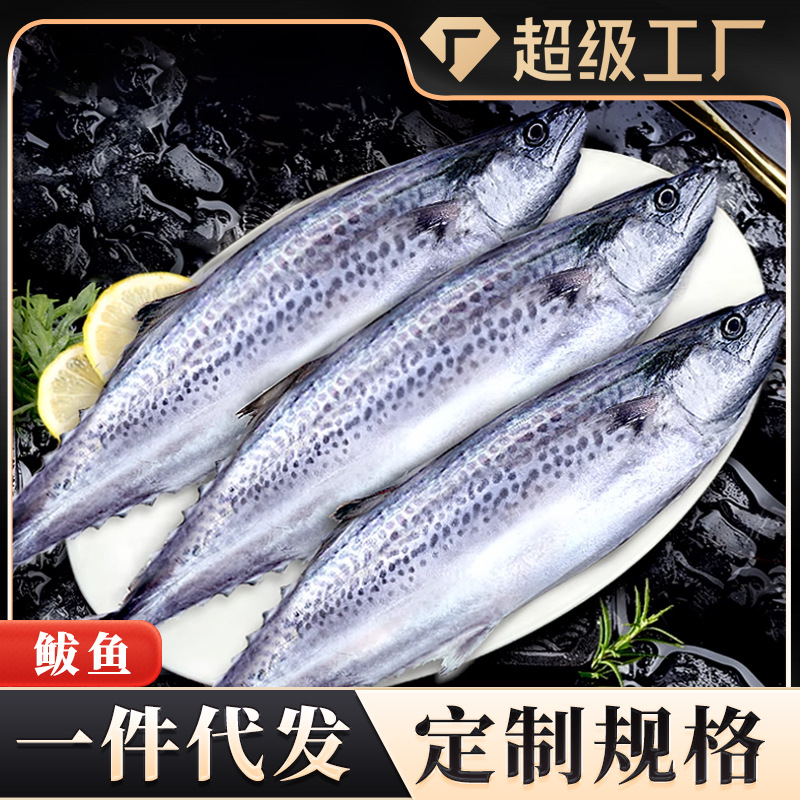 大鲅鱼鲜冻鲐鲅鱼马鲛鱼大整条冷冻青花鱼马友鱼批发商用一件代发