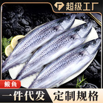 大鲅鱼鲜冻鲐鲅鱼马鲛鱼大整条冷冻青花鱼马友鱼批发商用一件代发