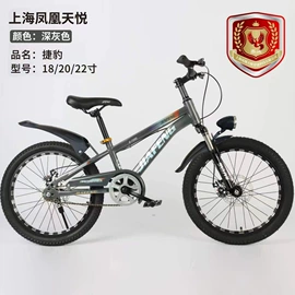 山地自行车;儿童电动车;自行车