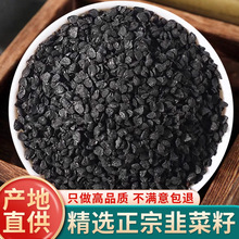 韭菜籽500g克药用泡酒韭菜子纯真正品天然野生男性泡茶粉包邮真货