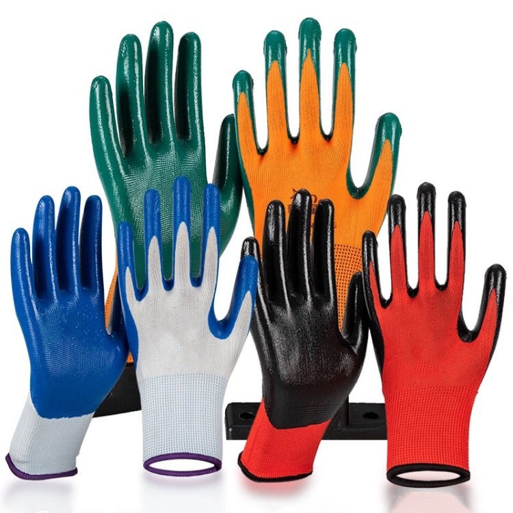 IMG_2122(20240202-094542)