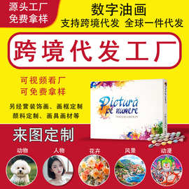 跨境代发数字油画diy源头工厂亚马逊外贸个性化照片定&制油画批发