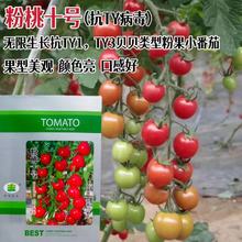 M؛ѷNtNǧ}ŮӷNݙСѷN