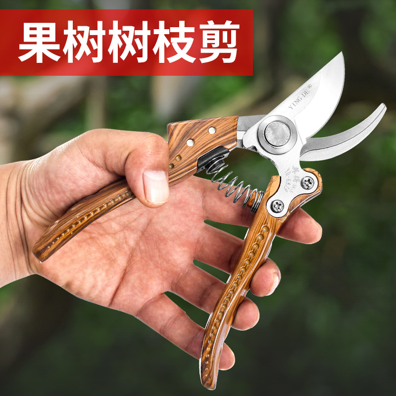 园林剪刀专业级果枝剪Pruning Shears锋利果树剪鸟嘴园林修枝剪