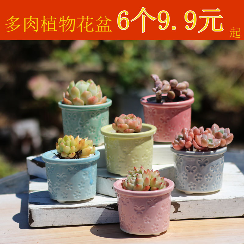 Free Shipping on Succulent Flower Pots, Clearance Sale, Coarse Pottery Breathable Water-Absorbing Pots, Old Stump Pots, Large Diameter Cluster Pots, Creative Purple Sand