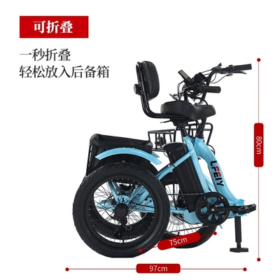 Snow E-Bike, LFEY Auto Parts and Accessories