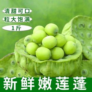�r��ɏ������rɏ��������ˮ��ɏ���^��ɏ���r�Fժɏ��һ�����l