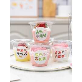 网红冰淇淋杯子一次性带盖酸奶包装盒子慕斯蛋糕塑料布丁奶冻盒