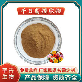 千日菊提取物 水溶千日菊粉 千日菊浸膏粉 芊卉生物厂家1KG起包邮