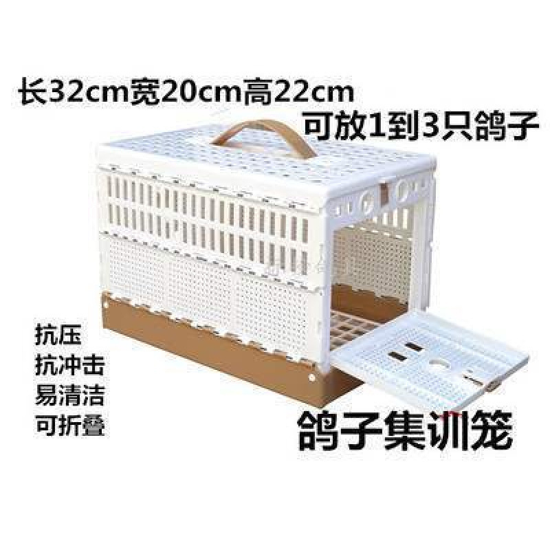鳩用品/折りたたみケージ/鳩トレーニングケージ/鳩トレーニングケージ/飛行ケージ/競技鳩ケージ|undefined