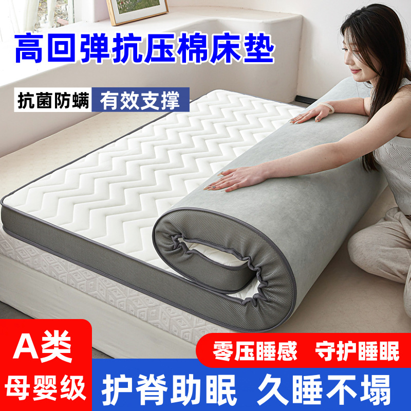 Thickened Mattress for Home Double Bedding, Four-Season Single Foldable Student Dormitory Mattress, Tatami Soft Cushion