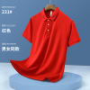 Summer overall, T-shirt, polo, with embroidery, with short sleeve