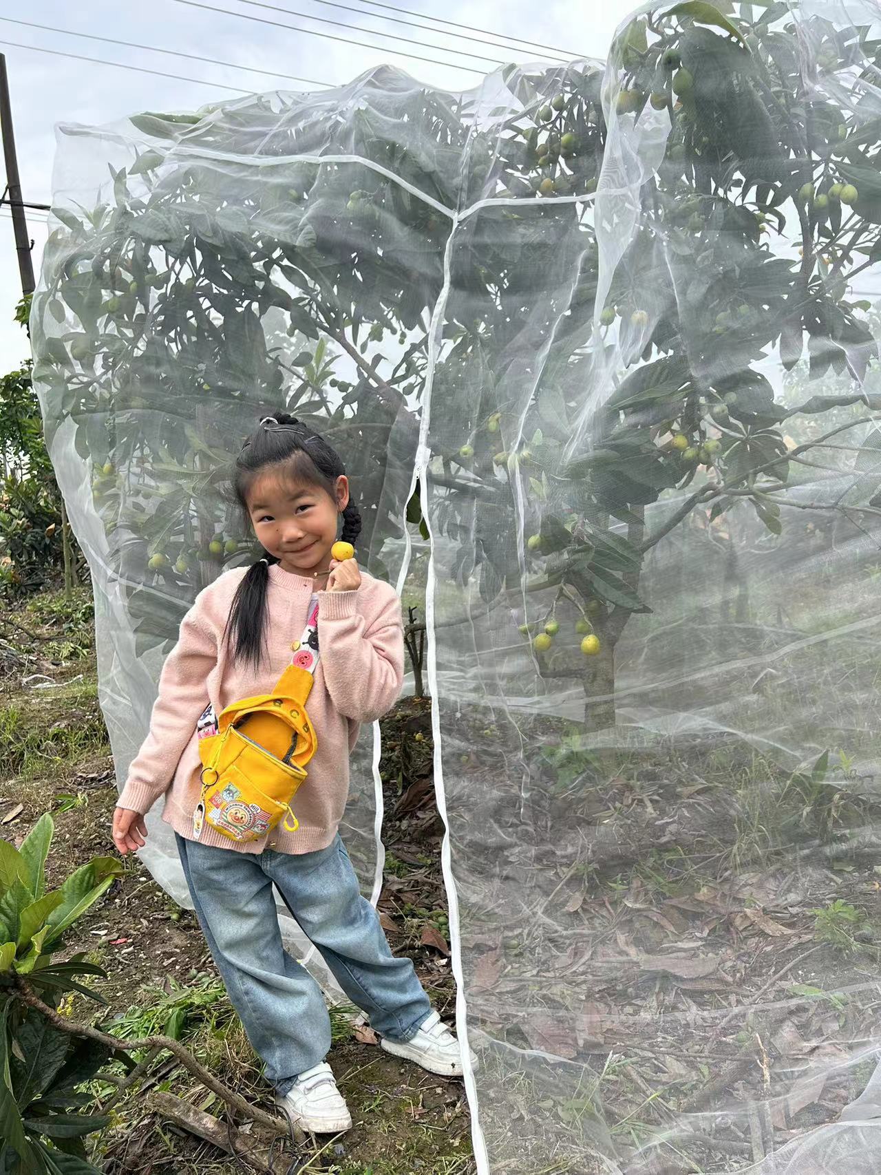 微信图片_20240509161822