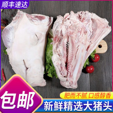 生猪头整只对半劈开新鲜猪脸肉冷冻猪肉散养猪肉商用整箱批发顺丰