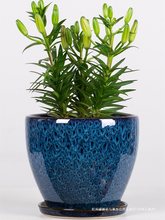 ӺմɼÎwбPش̖滨ܾG}mGֲ