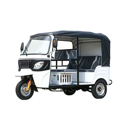 Dump Truck, Sərnişin üçtəkərli motosikllar