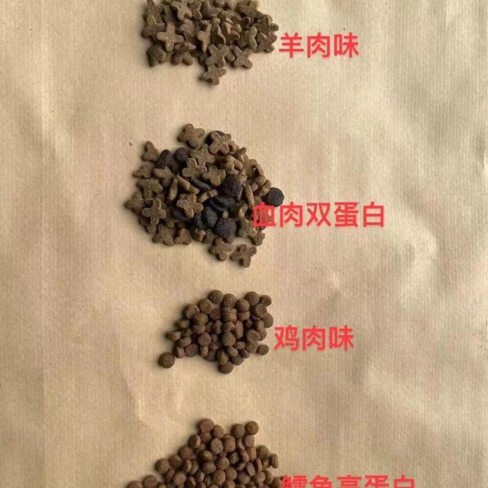 437935e8-7584-40e3-9d88-3230d7d98e8d.jpe