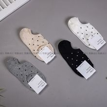 EW251n|T¿Ůʿ\СcСAce[Ům