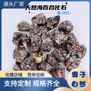 ��Ȼ���ٺϻ�ʯ�˱����ٺϻ���ԭʯ��ʯ�������ﻯʯֲ�����x�[��