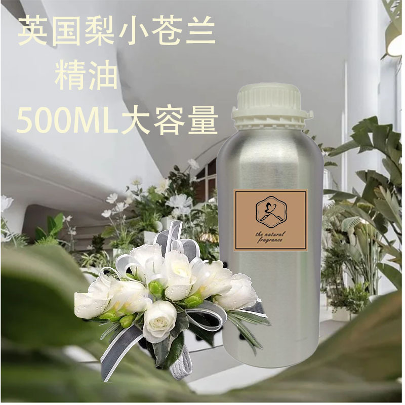 영국 배 프리지어 (즐거운 꽃)