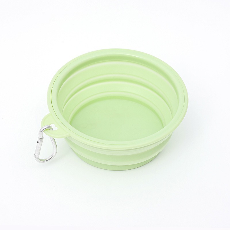 그린 레귤러 모델