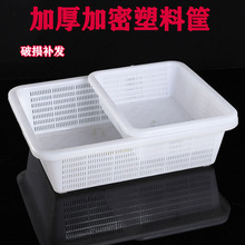 73白色筛子长方形白色密孔塑料筛子洗菜篮水果篮果蔬筛塑料收纳