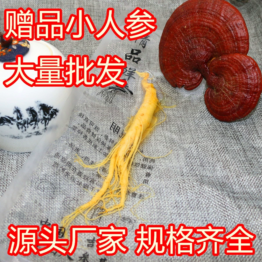 [Источник производителя] Консервированный женьшень, женьшень, небольшой женьшень, замоченный в вине, женьшень, преимущества прямой трансляции, распределение и оптовая продажа, дропшиппинг