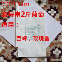葡萄代子套果袋水果套袋纸套果子的袋子果树葡萄袋子防鸟防虫袋批