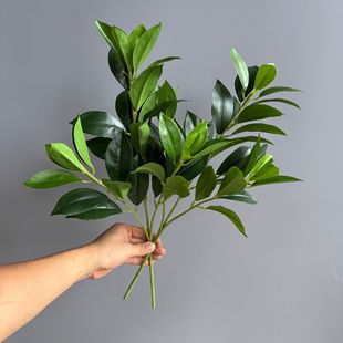 ���晎���~ ���~ ���¹��~ ����~ �ָ��~��ֲ���쾰���bҾ�