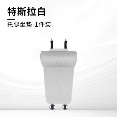 Seat Leg Rest Leg Extension: Multi-function pad - model-a-tesla-white