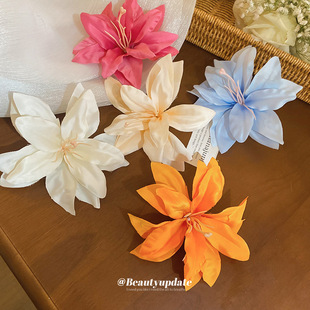 �nϵ��ˇ����ٺϻ��l�A�r�аٴ���l��߅����A�ȼ��L���|�l�Ů