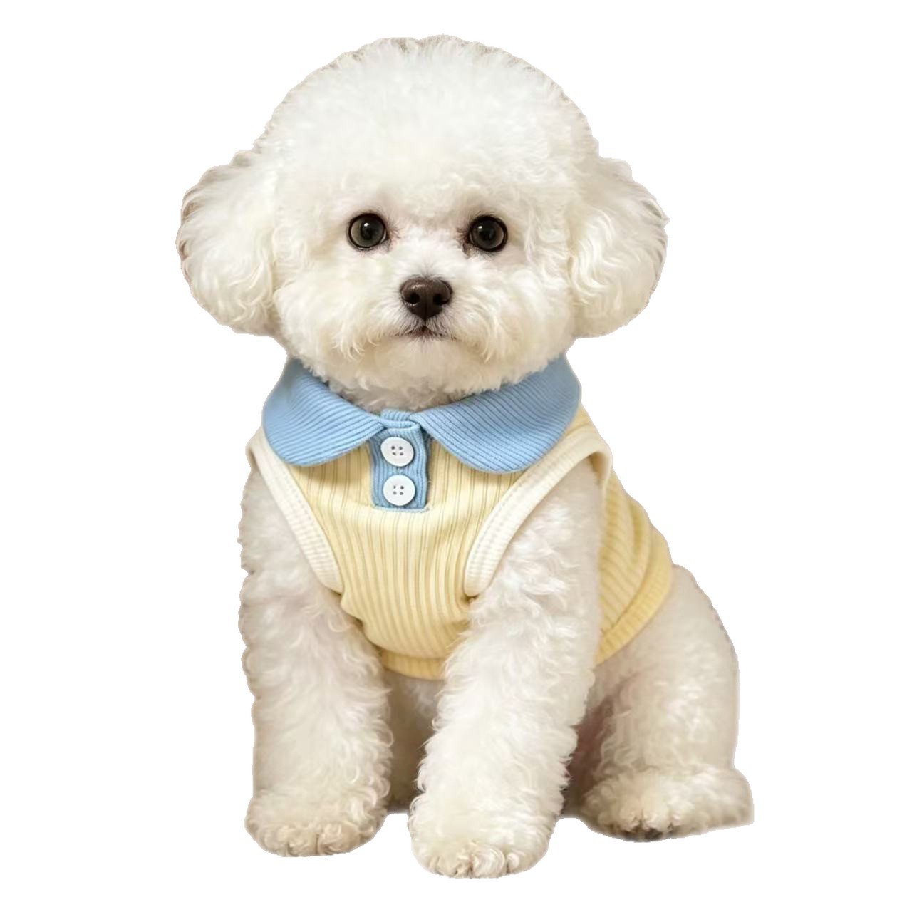 Roupas para animais de estimação de pequeno porte: Bichon Frisé, Yorkshire Terrier, Maltês, Teddy, Renda, Moda Primavera/Outono para Cães e Gatos 2026_voghion.com