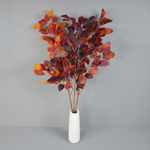 ɽëΆ֦Gֲ~͹ŚWʽcYòÈ@־^쾰P