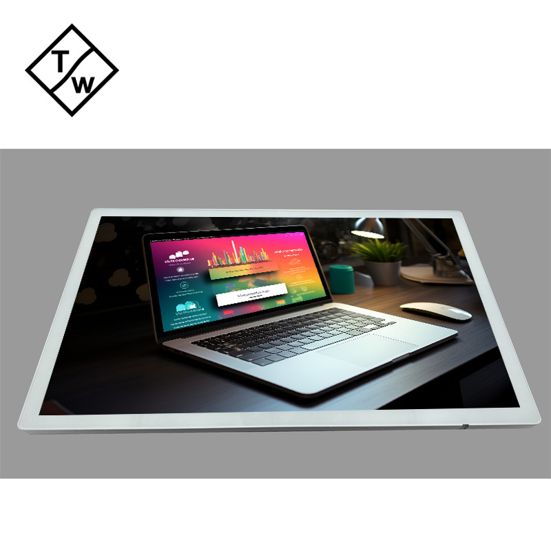 Tc24W 23.8inch 24inch Pure Flat White Touch Monitor Wall Mounted Industrial Display Screen