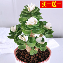 IһlXľϘֲ҃Կ͏dGֲܺBlؔ