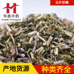 泽漆1000克华美中药材现货稳定批发供应猫眼草当季新货量大从优