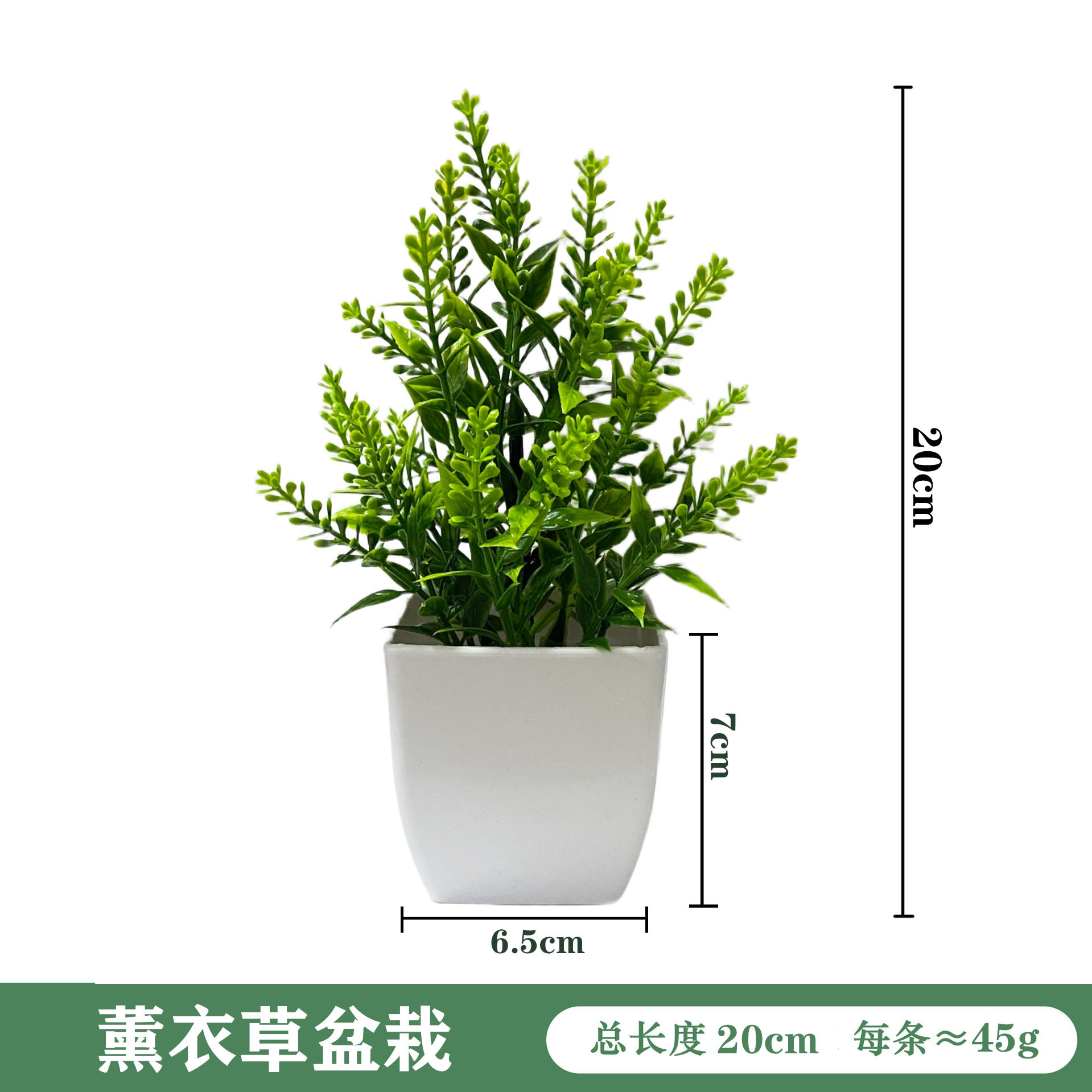 라벤더 화분 - 흰색 화분 20cm