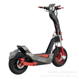 其他电动车;山地自行车;其他非机动车