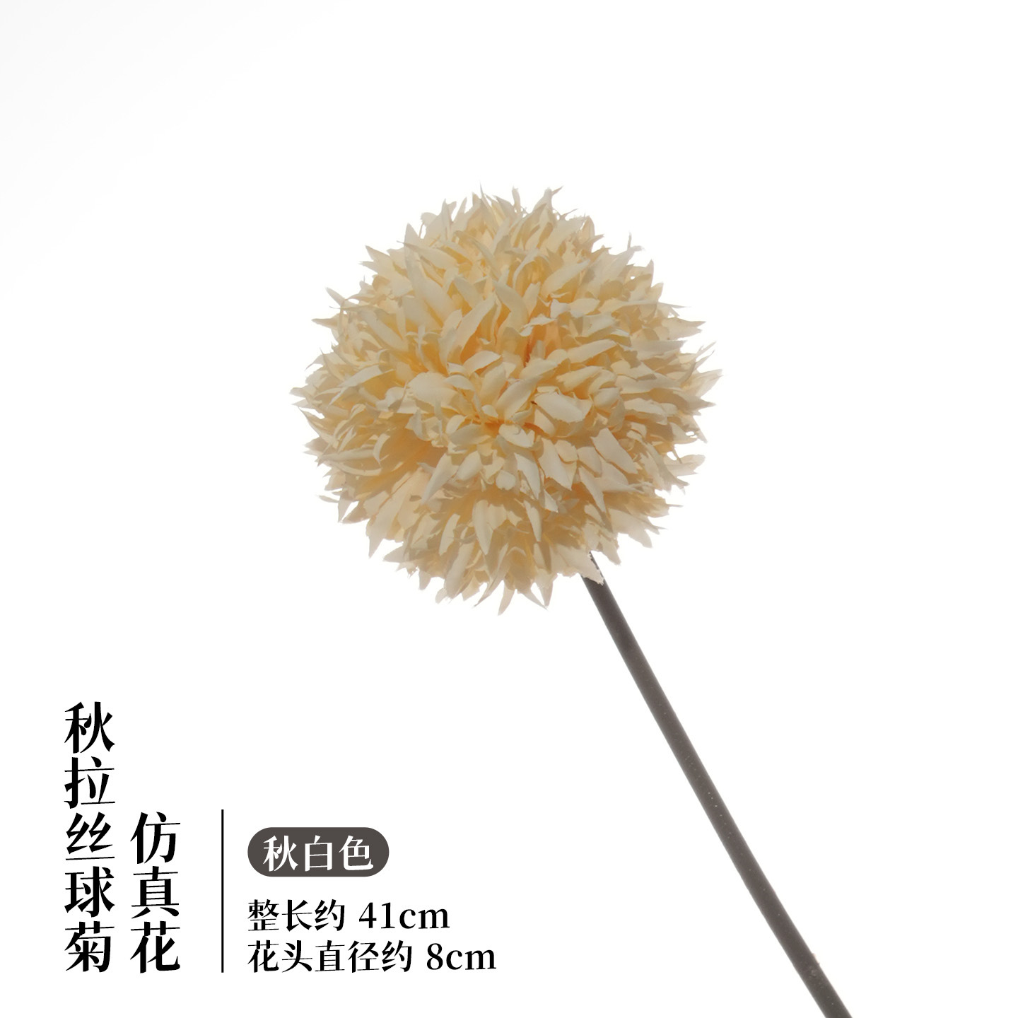 가을 흰색