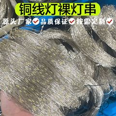 メーカー直販led銅線灯裸灯串半製品クリスマス祝日屋外寝室装飾灯串