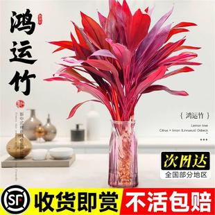 �������\���F��ˮ��ֲ��ˮ�B�����҃ȿ͏d�lؔ�񎧸��D�\��������